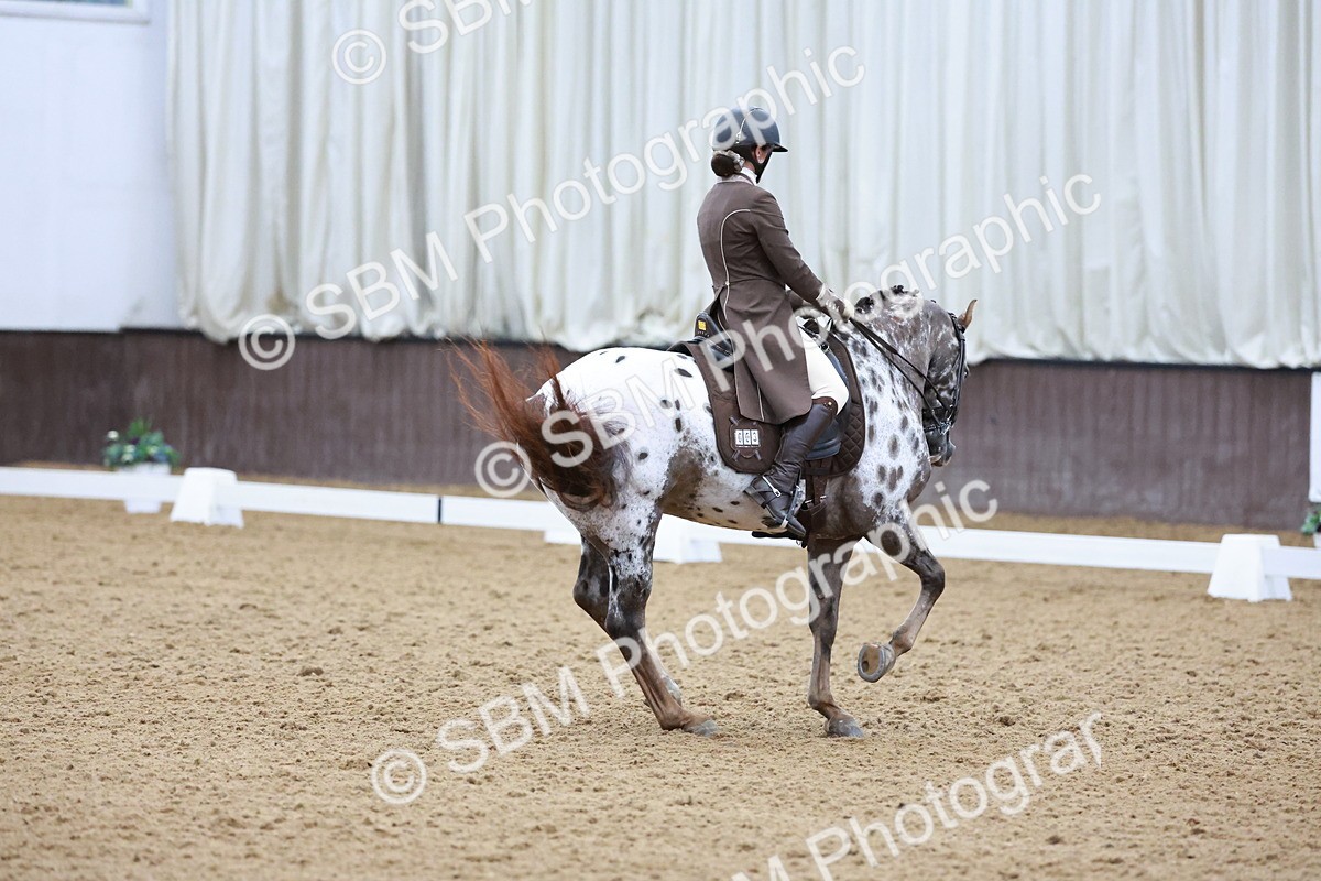 SBM_021390 - Class 14 - FEI Grand Prix - 17.40-18.34