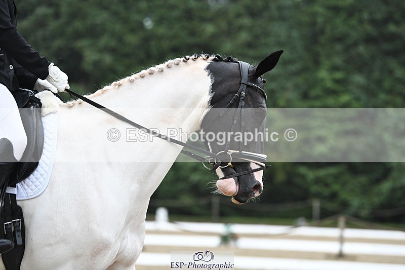 240720-113402-04327 - 123-Michelle_Wallis-Alvescot_Winning_Mood