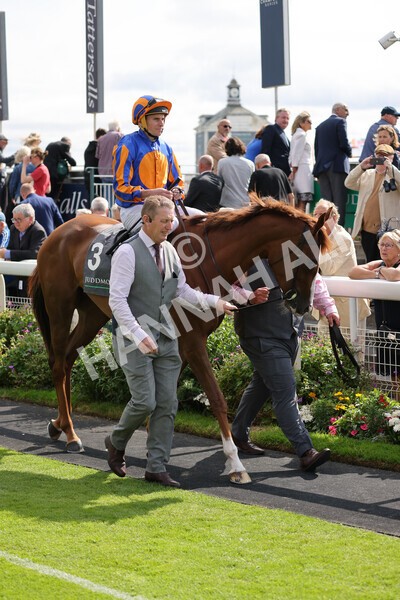 yr18082021r4-46 - Race 4 3.35pm Juddmonte International Stakes (British Champion Series race)