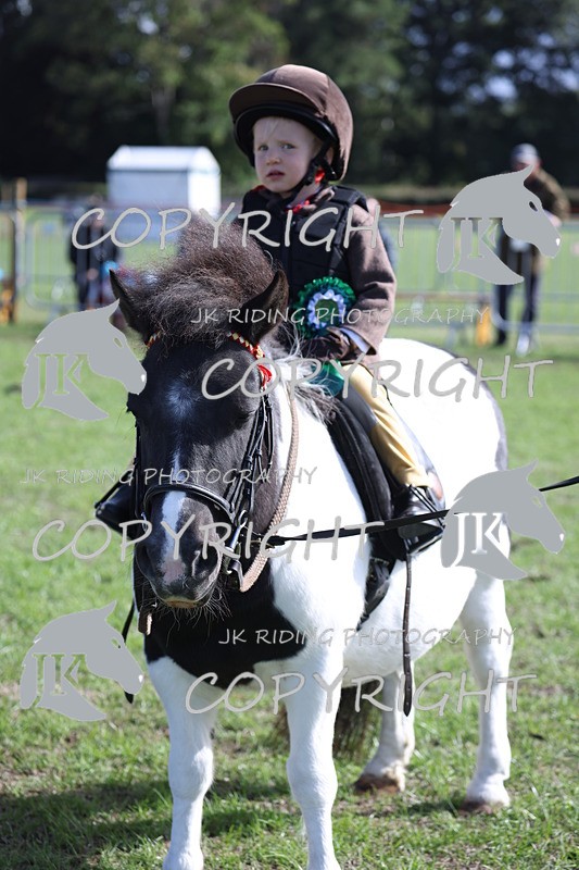 APP_3943 - Class 13 Lead rein