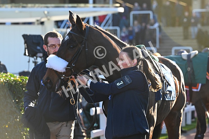 251025-Race 6-Baltic Bird-9696 - Race 6