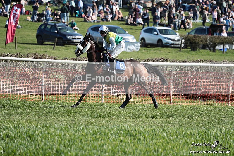 PtP 210326 291 - VWH Cirencester Races 21/03/26
