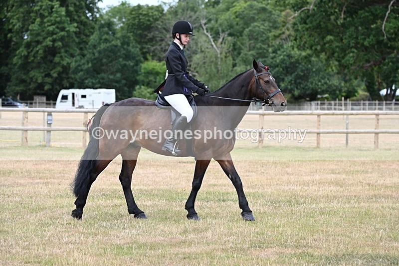 WJ6_4104 - Class 9 Tack & Turnout