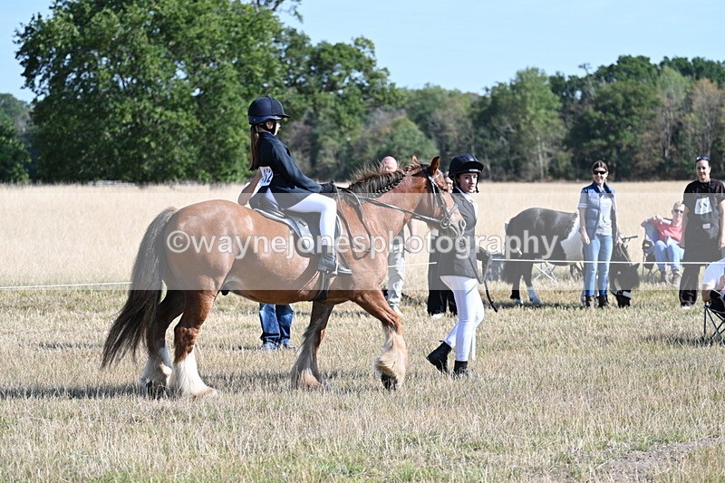 WJ7_2999 - Class 8 Ridden Tack & Turnout
