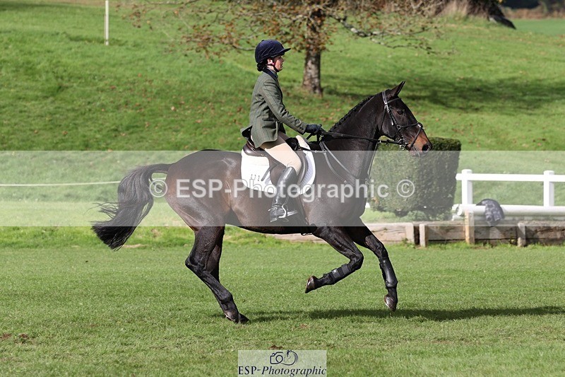 231022-140651-28059 - 472-SIR.LARRY.II-Alice.Wharton-TrotUp+SJ