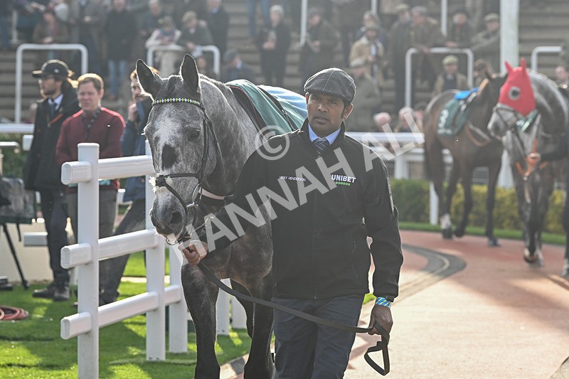 151124-Race 2-Paddock-Hyland-7328 - Race 2