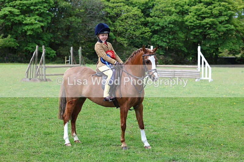 3E7A2759 - Working Hunter Championship