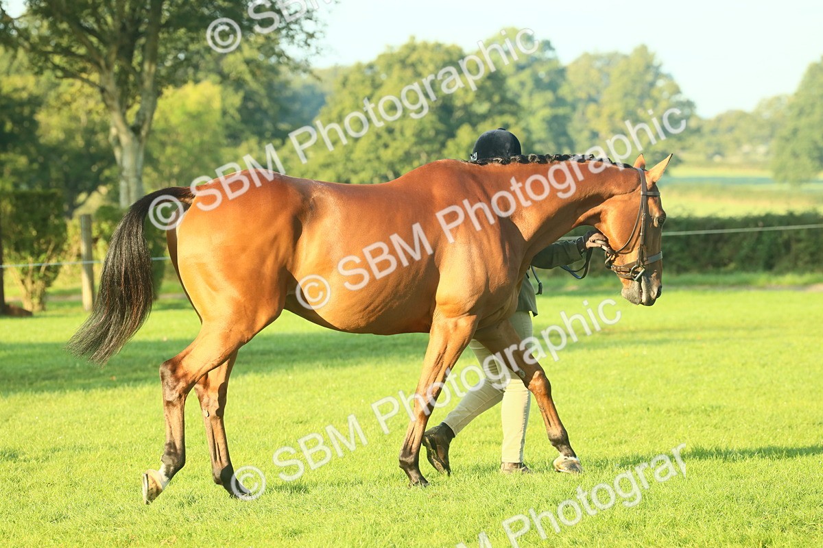 SBM_56768 - S36 - Starters Best Turnout