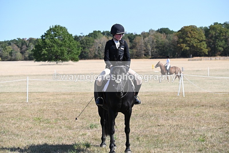 WJ6_7696 - Class 34 Judges Choice