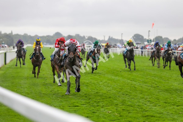 080924-Race 7-Young Fire-4612 - Race 7 5.10pm Elevator Company Amateur Jockeys' Handicap