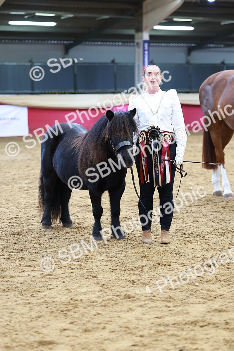 SBM_18750 - Class 903 - Sup Final - IH Pre Vet