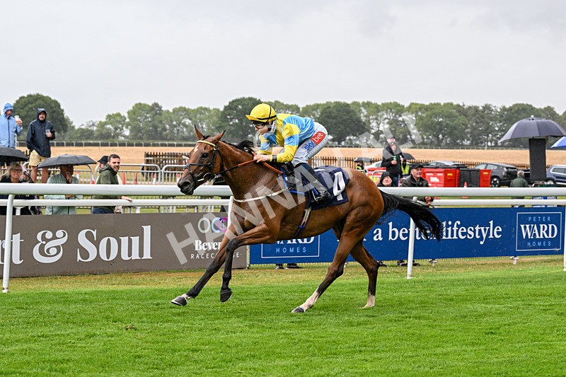 150725-Race 4-Without Flaw-0571 - Race 4