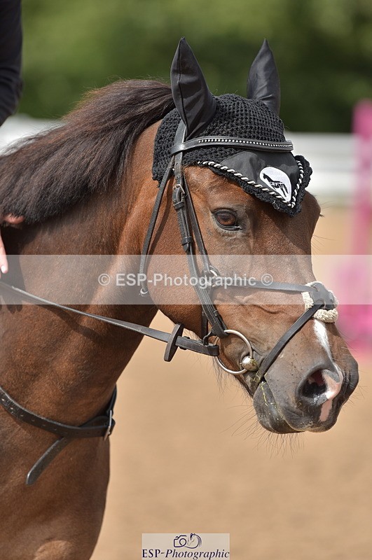 230801B-155050-00066 - 60cm