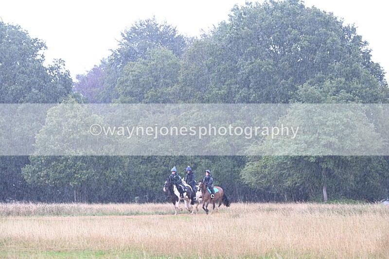 DSC_3034 - Time at Statue 12:59 to 13:49