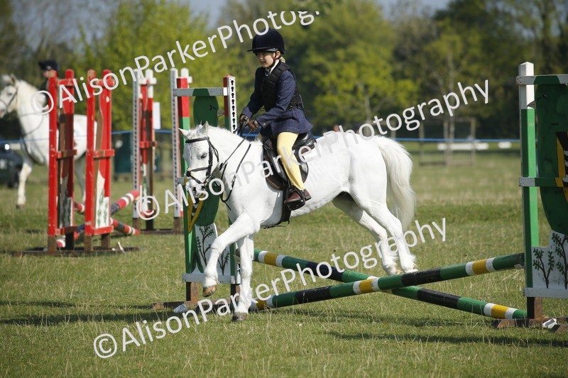 20250427-0292 - Class 12 - Rookie Jumping 40cm