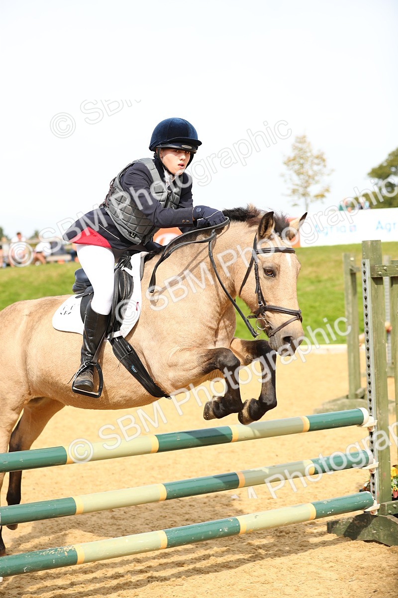 SBM_67263 - J17 - Junior Pony 80cm Championship