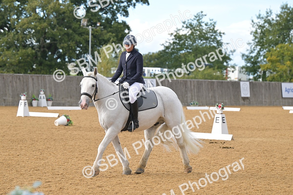 SBM_12864 - D3 - Small Tour Championship Intro 3