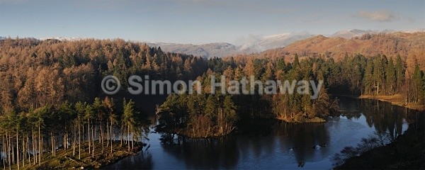 Tarn Hows Panorama - English Lake District Panoramas