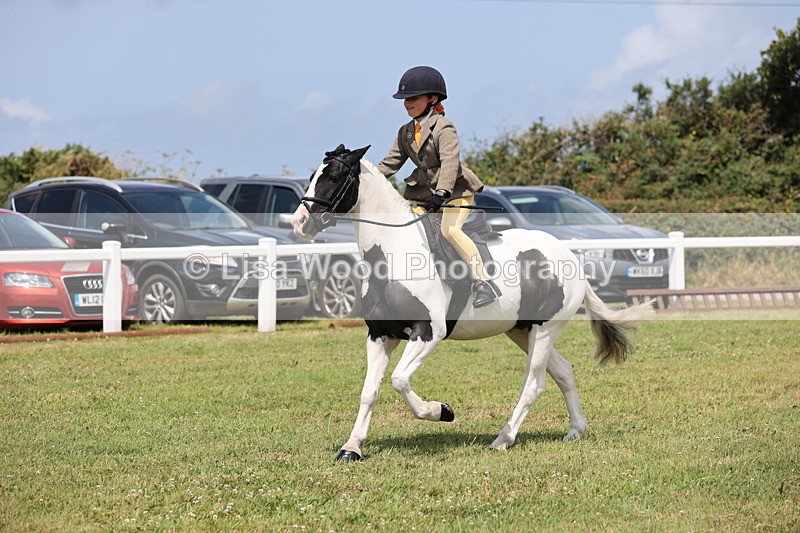 JPP_1803 - Class 18: Tiny Tots Working Hunter Pony