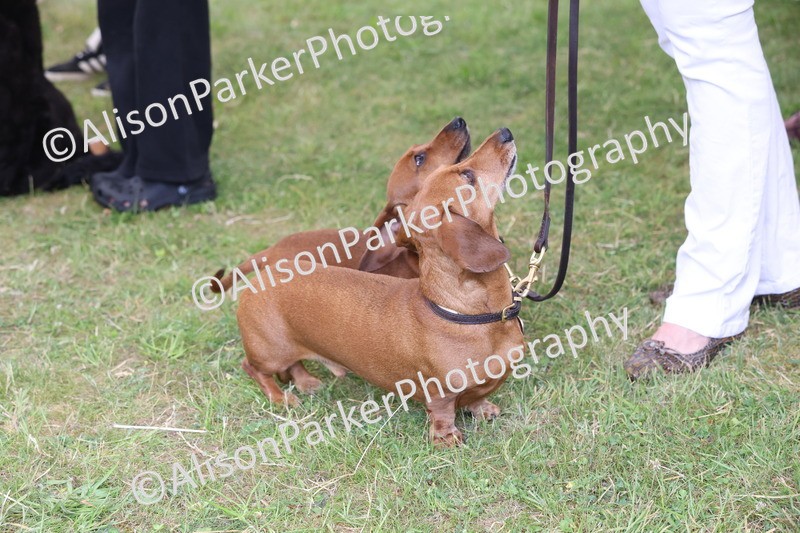 20250607-0456 - Best in Show