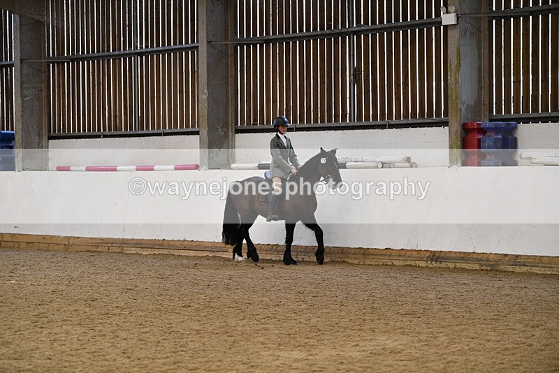 WJ5_7695 - Class 13 Ridden Part Breed