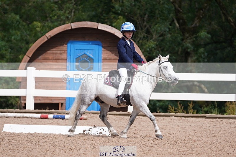 240809A-105726-00685 - Dressage Competition