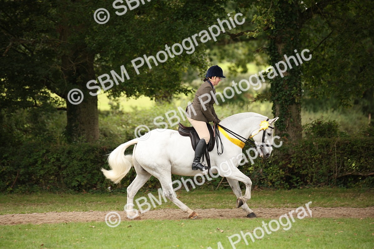 SBM_73664 - Ridden Horse Supreme Championship