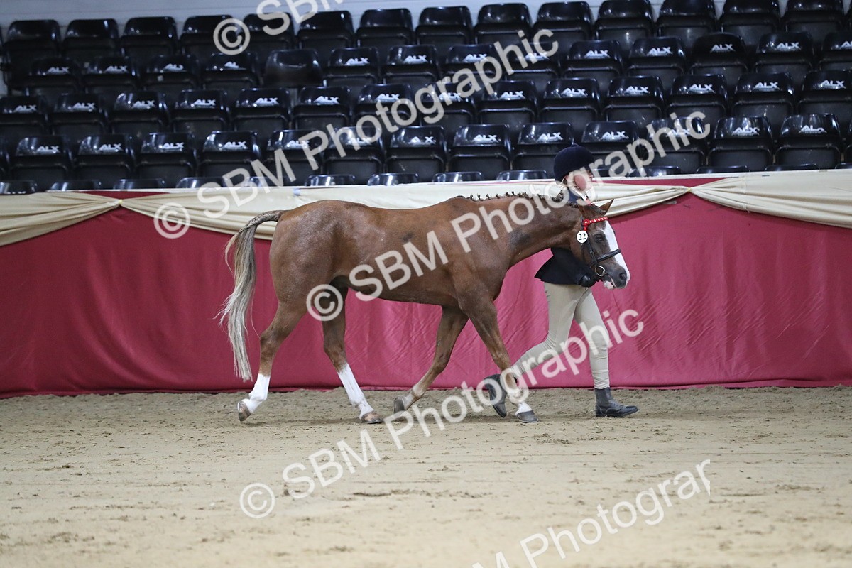 SBM_04956 - Class 8R- Regional -IH Veteran