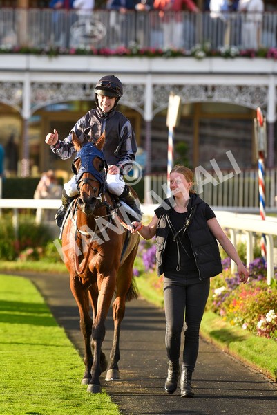 230923-Race 7-Two Brothers-7236 - Race 7 5.30pm Neil Atkinson's 60th Birthday Celebration Handicap