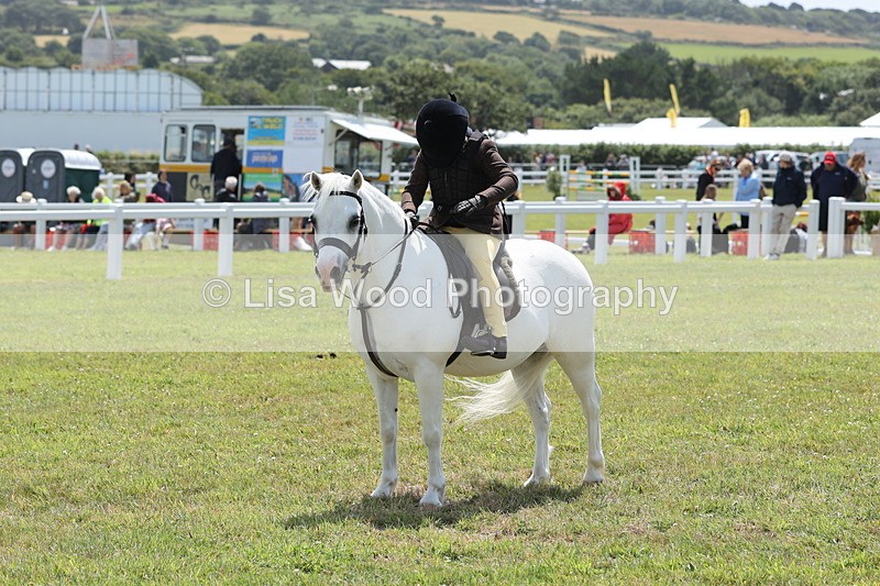 JPP_1849 - Class 18: Tiny Tots Working Hunter Pony