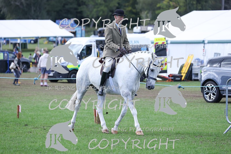 APP_4132 - Class 15a/b Pony club pony/Riding club horse