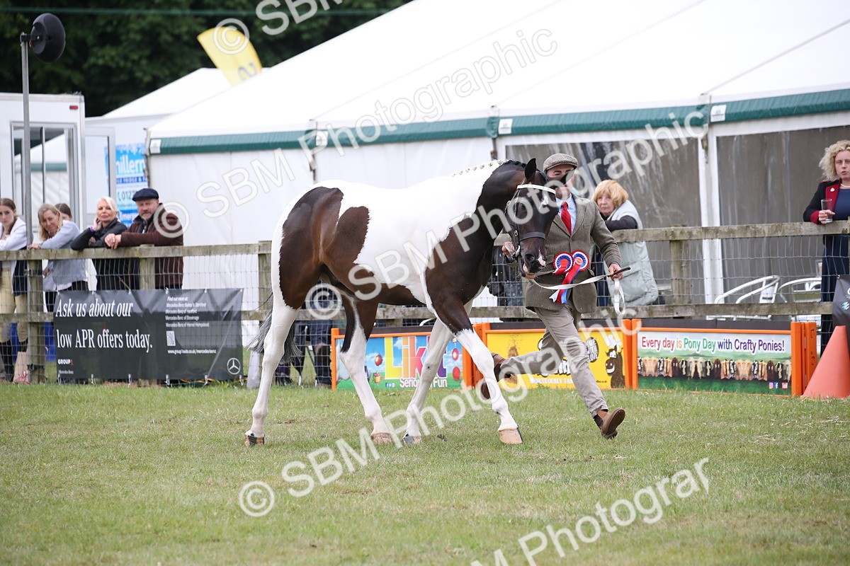 SBM_09805 - Ch 50 - Price Family Supreme In Hand