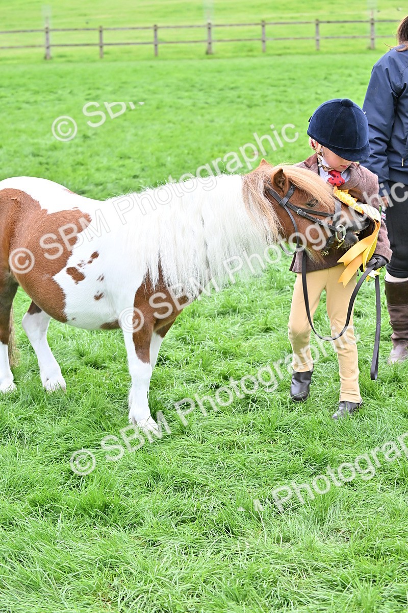 SBM_66816 - S41 - Junior Handler 8 Years & Under