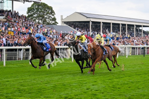 230825-Race 1-King Of Cities-9575 - Race 1 1.50pm Sky Bet Strensall Stakes