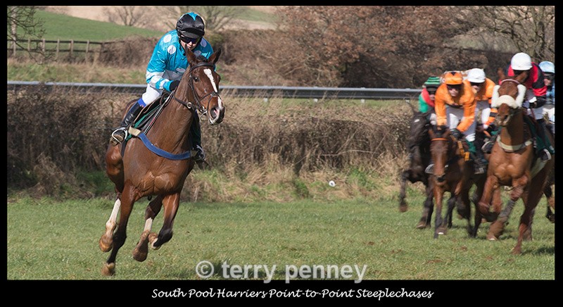  - Equestrian Sport