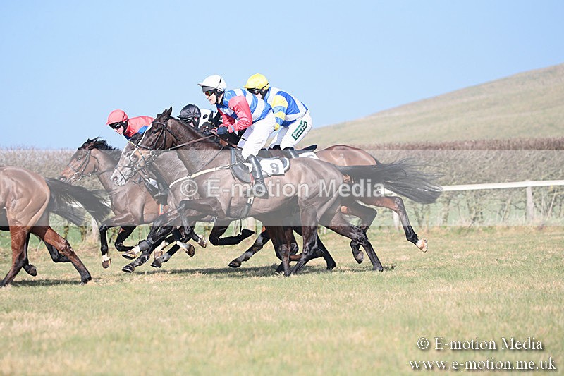 PtP 230219 238 - Vine & Craven Point-To-Point - Barbury 23/02/19