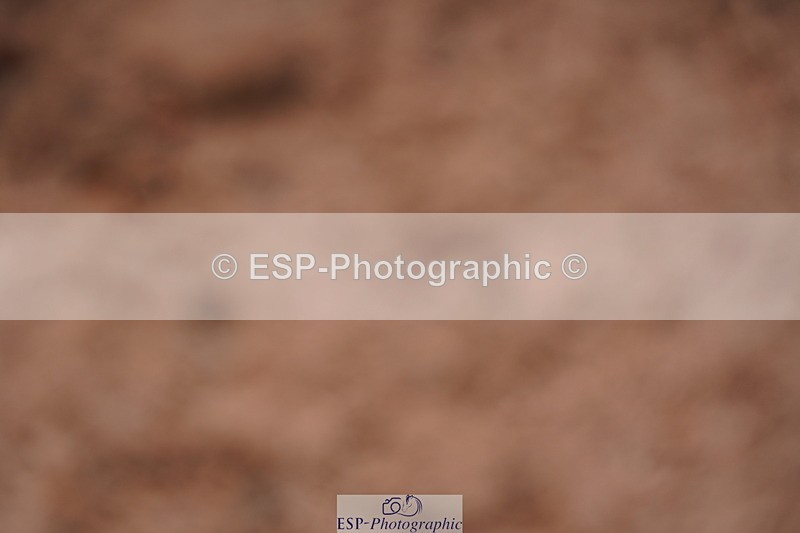 240506A-143048-09526 - Cls 17 Club 60cm