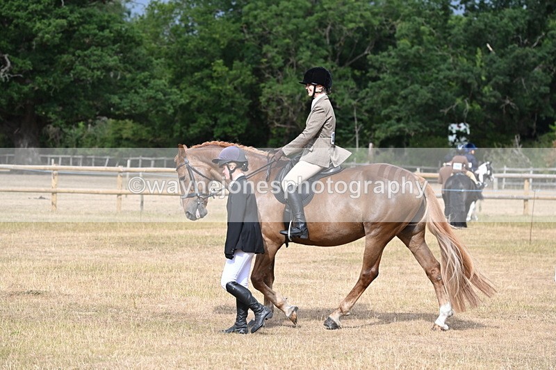 WJ6_7488 - Class 9 Tack and Turnout