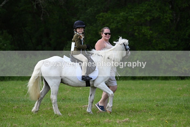 WJ7_1708 - Class 11 Condition & Turnout