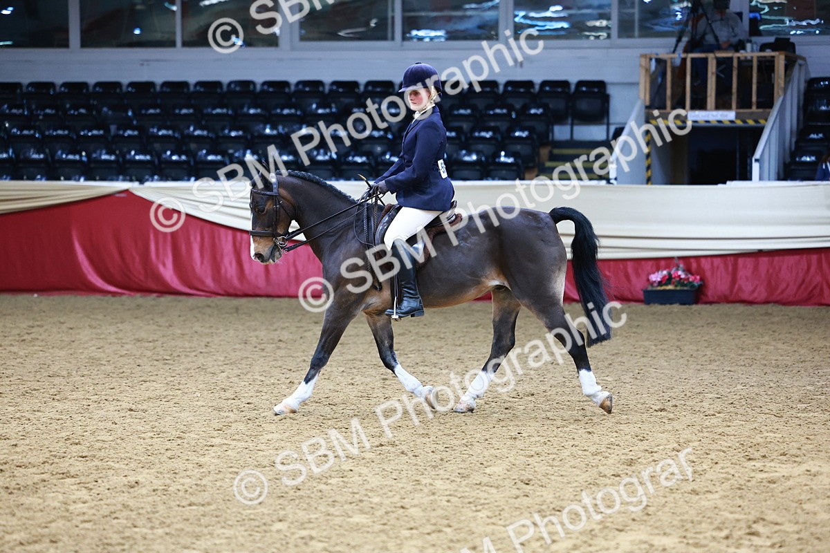 SBM_23462 - Class 904 - Supreme Final - Ridden Diamond