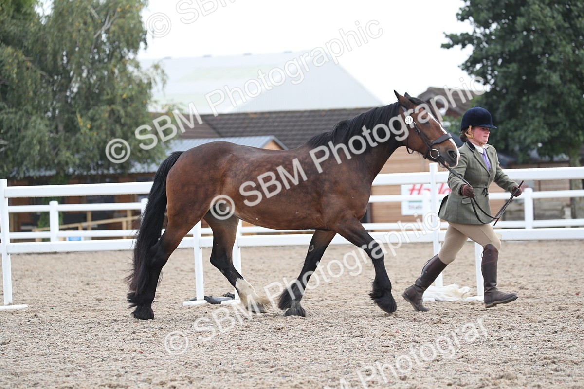 SBM_22533 - Class 604 - 2025 Area - IH Diamond