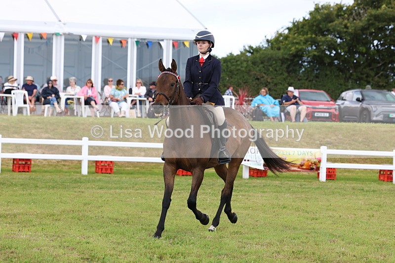 3E7A2390 - Class 11: Retraining of Racehorse