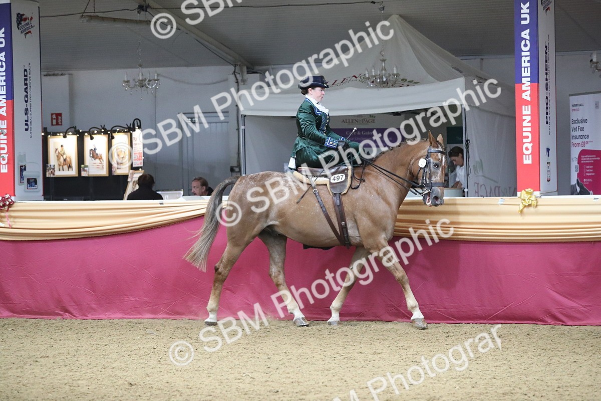 SBM_11527 - Class 105 Ridden Costume- Side Saddle