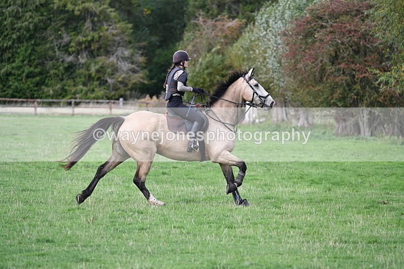 WJ7_0727 - Time 14:27 to 15:11