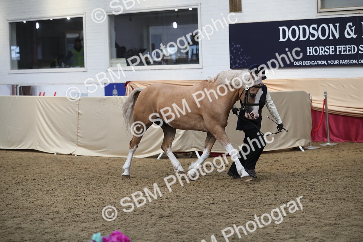 SBM_15348 - Class 501 M&M IH Supreme Final