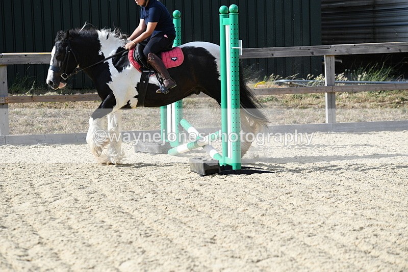 WJ5_5766 - Poles off the floor