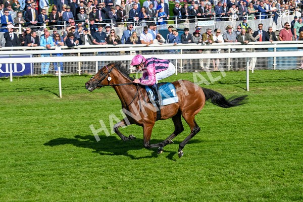 160525-Race 6-Bowmark-7182 - Race 6 4.55pm Darley EBF 'Confined' Novice Stakes