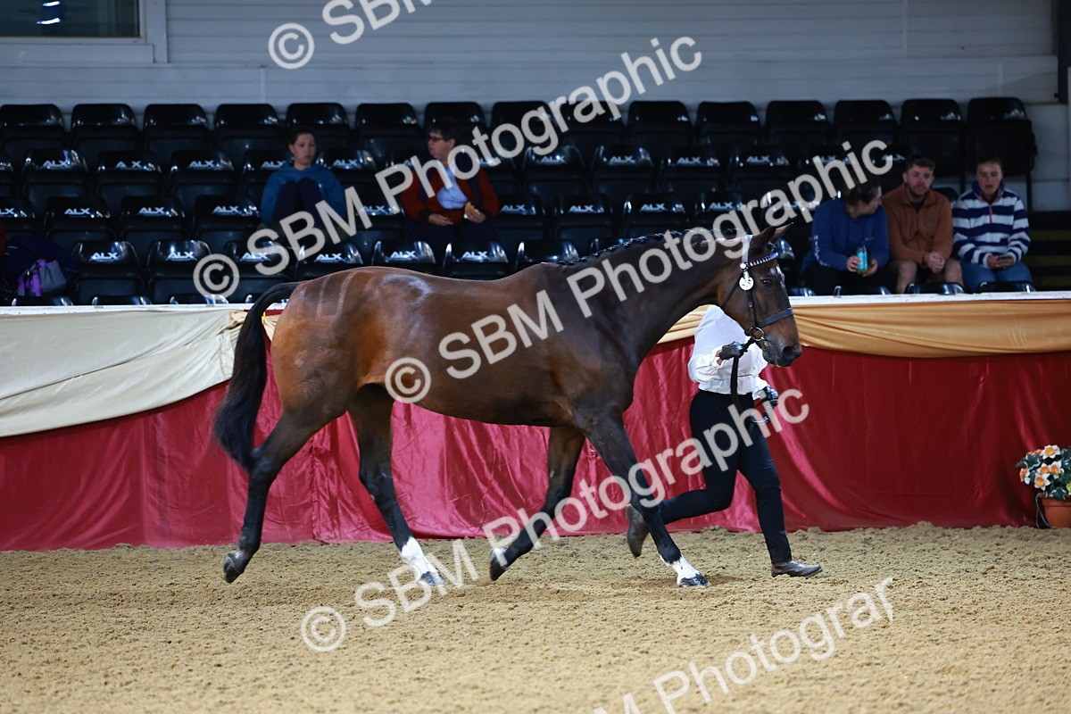 SBM_21712 - Class 901 - Supreme Final - IH  Diamond