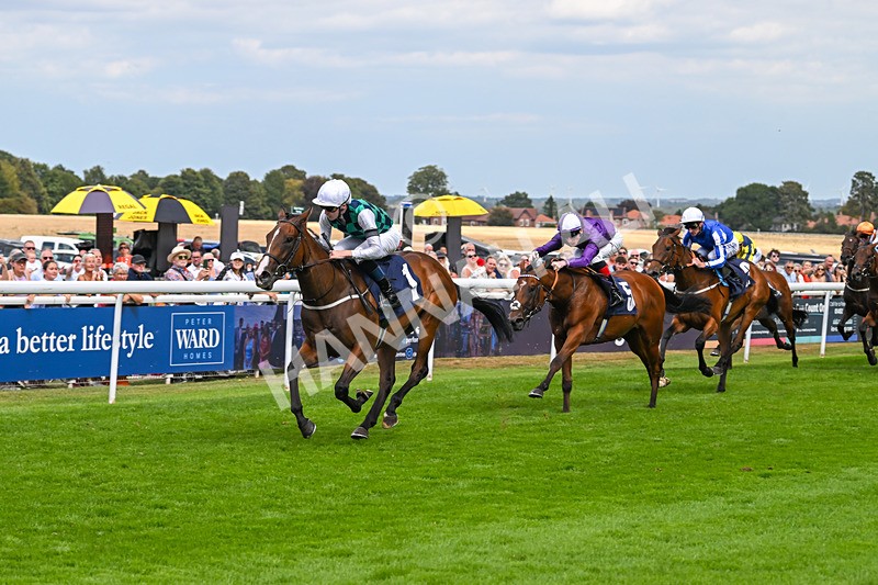 140825-Race 1-Catching The Moon-0292 - Race 1