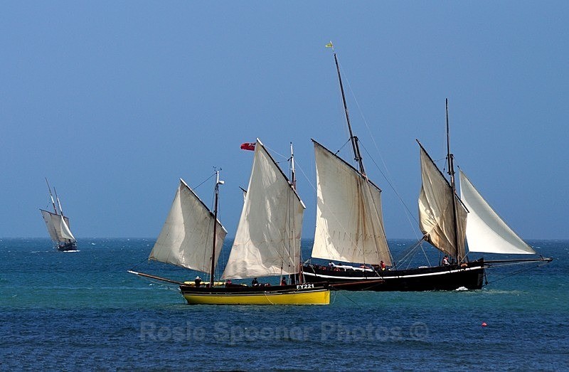 Luggers racing - Looe